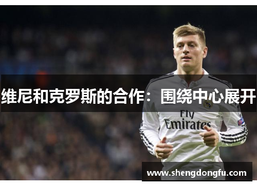 维尼和克罗斯的合作：围绕中心展开